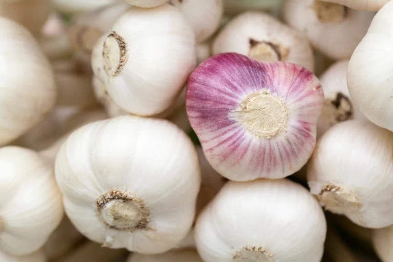Free garlic purple glazer background