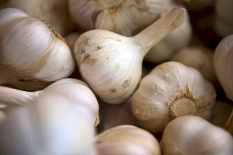 Garlic vegetables